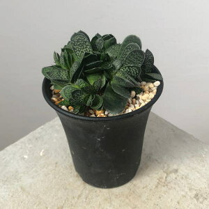 ϗtA/KXeAFqсiR_JjVLj@3