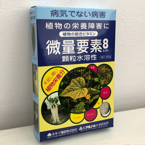 ���ʗv�f�G�C�g400g