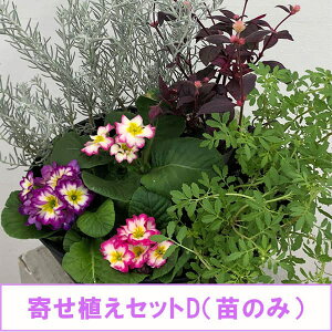 Ԃ̕c/񂹐AZbgDEĉ݁F^QeXEAeiZEGtBEv