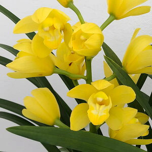 e[uVrWEFЂ܂2{ 5AiMtj