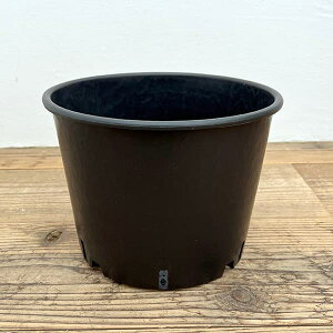 i[Z[|bg@̒ꌊ^Cv a26cm×19cmiRP26j 5Zbg