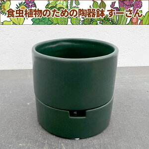 [F_[NO[^MTCY LMtia10.5cmA10.0cmj