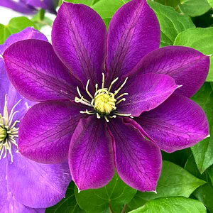 N}`X̕c/N}`XFtWKIJixmuj5|bg^{T^CvipeXnj