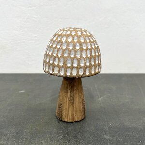 I[igFVsjSiLmR̒ujiTH65j