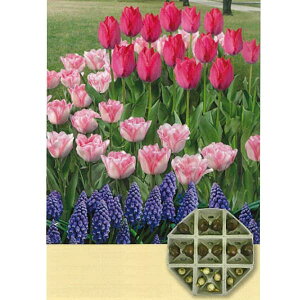 /[IZ[]ZbgF፷`[bvXJ v18