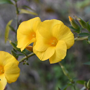 Ԗ ؂̕c/EiQbREJi_쌎ԁELoiA}ECeBAj3|bg