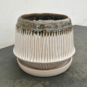 tX^ |bg Ah \[T[FLTCYia20cmA16.5cmj