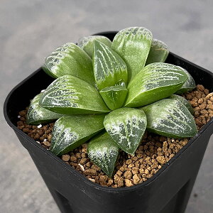 ϗtA/nI`AF~jXJiQfB×ej@3XNGA