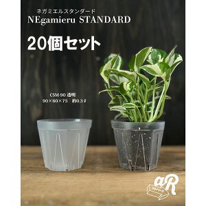 XbgijFlK~GX^_[h3 20Zbg