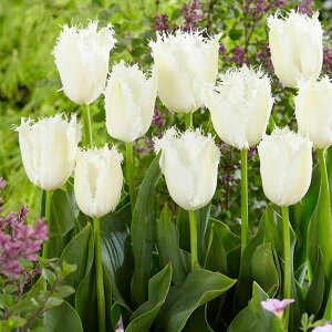 /`[bvFm[hACfiFRj 5Zbg