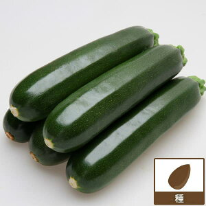 [](ƖpE󒍐Yi)YbL[jFO[{[g2 100[؃^l]*