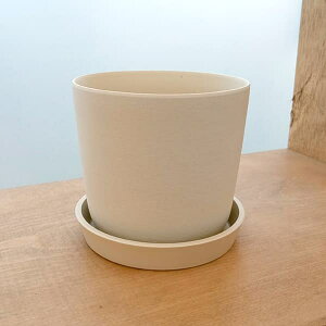 GXe11Lia11cmjzCg^83102