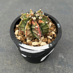 ϗtA/T{eFMmJLE@nCubh@324-11