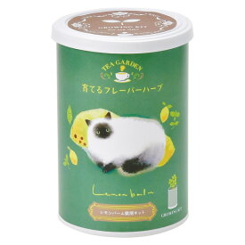 育てるフレーバー ハーブ：レモンバーム