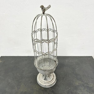 ACAI[igt 76327BAeB[NOCia15×54cmj