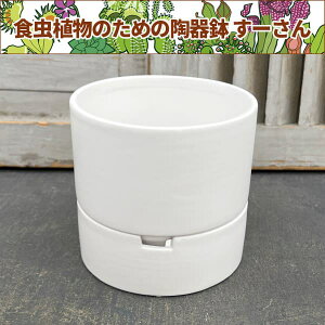 [FzCg^LTCY LMtia12.0cmA11.5cmj