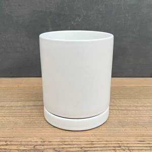 IXg V_[ }bgzCg 12cmEMt