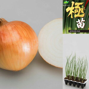 ؂̕c/ʂ˂vOcFɕcFʂ˂ \^Cv W{10Zi15{Oj