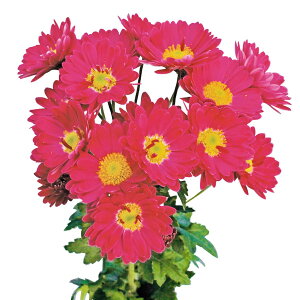 Ԃ̕c/LNFJte@邽iԌnj3|bg