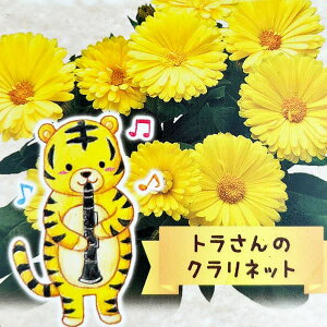 Ԃ̕c/JWFg̃NlbgiG~t [j2.5O|bg