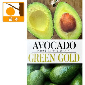 ʎ̕c/A{JhFO[S[h5|bgiږؕcj