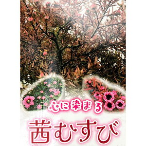 Ԗ ؂̕c/MEoCFAJlXr3|bg