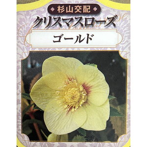 |iRzj̃NX}X[YFVOS[h3|bg