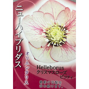 ̃NX}X[YFVO sReB3|bg