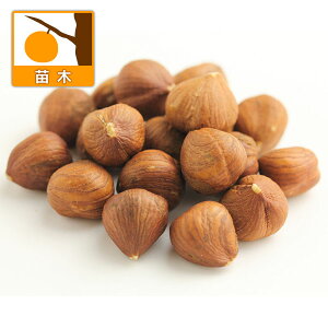 �ʎ��̕c/�w�[�[���i�b�c�i���m�n�V�o�~�j�F�m�b�e�B���K���t���[3.5���|�b�g