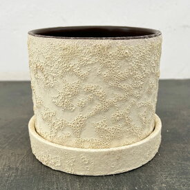 ジュリア：白L（直径12cm）・受け皿付