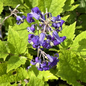 N}`X̕c/N}`XFj[u4|bg