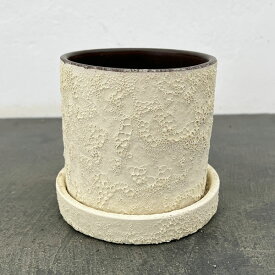 ジュリア：白M（直径10cm）・受け皿付