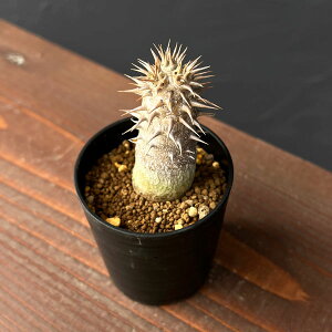 ϗtA/pL|fBEFfVt[ij2.5A