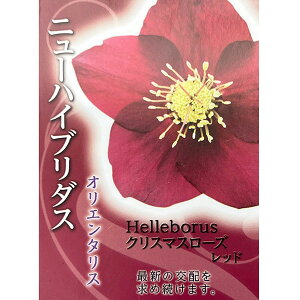 ̃NX}X[YFVO bh4.5|bg