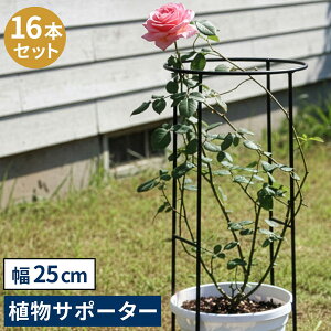 [��������]�A�C�A�����A���T�|�[�^�[�i��25�j16�{�Z�b�g �iIF-N0049-16P�j