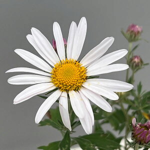 R쑐̕c/LNFiJKmMN3|bg