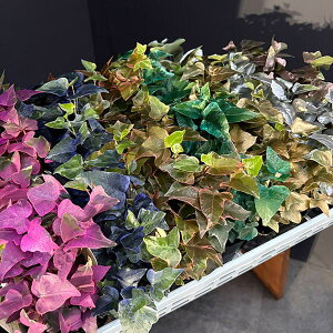 Ԃ̕c/wfiACr[jFC{[XyV3|bg 7Zbg