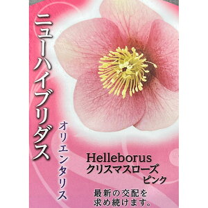 ̃NX}X[YFVO sN4.5|bg