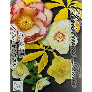 ̃NX}X[YF_uEZ~_u I[An3|bg