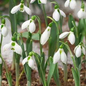 /Xm[hbvFd炫5Zbg[2J KTXEGEBbV[]