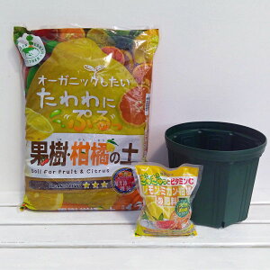 kpF͔|ZbgEXbg10Eʎk̓yE엿̃Zbg