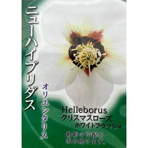 ̃NX}X[YFVO zCgtbV3|bg