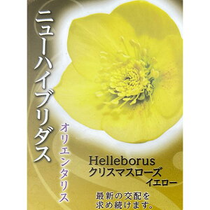 ̃NX}X[YFVO CG[4.5|bg