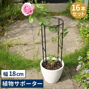 [��������]�A�C�A�����A���T�|�[�^�[ �i��18�j16�{�Z�b�g �iIF-N0050-16P�j