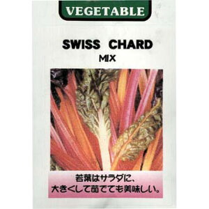 [IZ[]i킯jyL25N11zXCX`[hF~bNXimӂ񑐁j[3`10܂ ؃^l]