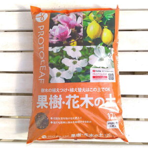 []ʎEԖ؂̓y@12L4܃Zbgivg[tj