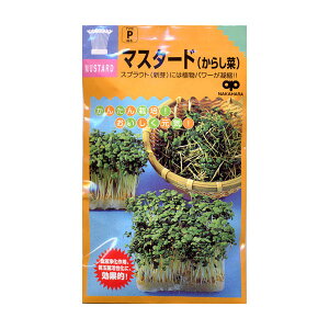 V̎iXvEg͔|pjF}X^[hi炵؁j[^l]