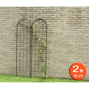 []ACAtFX50×221cm 2ZbgiYBIF-220-2Pj*