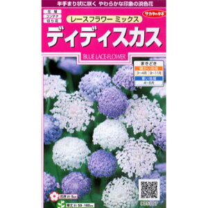 fBfBXJXF[Xt[~bNX̎[TJ^@ԃ^l]