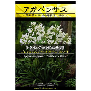 種 宿根草 秋 種 Diy 工具の人気商品 通販 価格比較 価格 Com